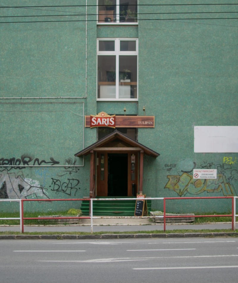 18 - Tulipán